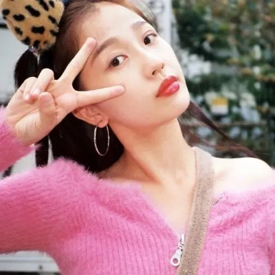 猫王艾维斯